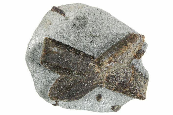 Twinned Staurolite Cross In Glittering Mica-Schist - Russia #356581